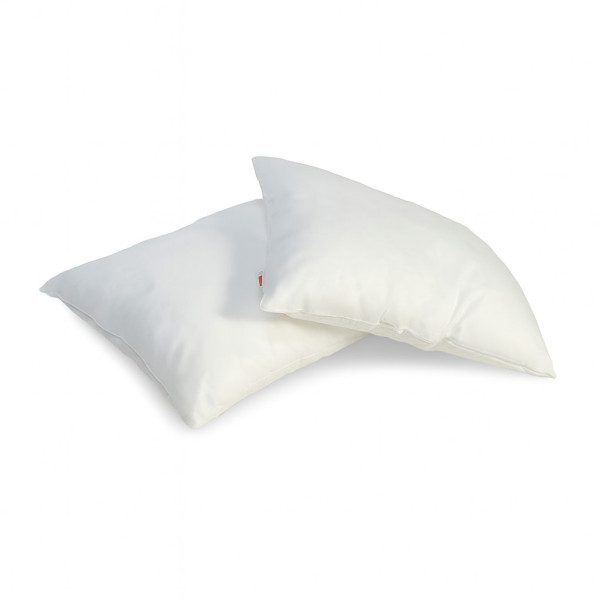 Hoofdkussens 2-Pack